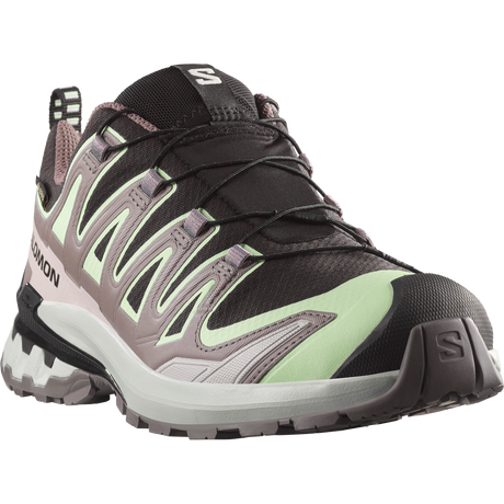 Salomon XA Pro 3D V9 GTX Hiking Shoe Women's