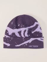 Arc'teryx Grotto Toque