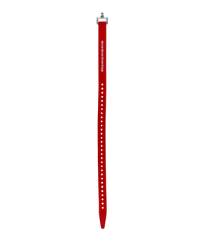 DPS Ski Strap