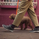 Allbirds Wool Runner Shoe Men's