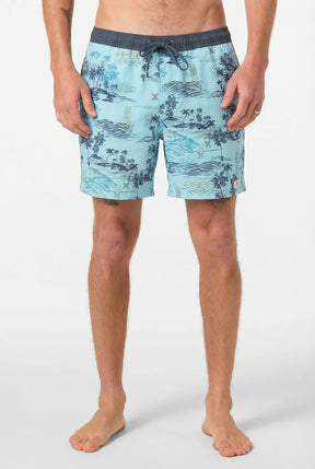 O'Neill Hermosa Retro Lined 17" Volley Boardshorts Men's