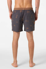 O'Neill Hermosa Retro Lined 17" Volley Boardshorts Men's