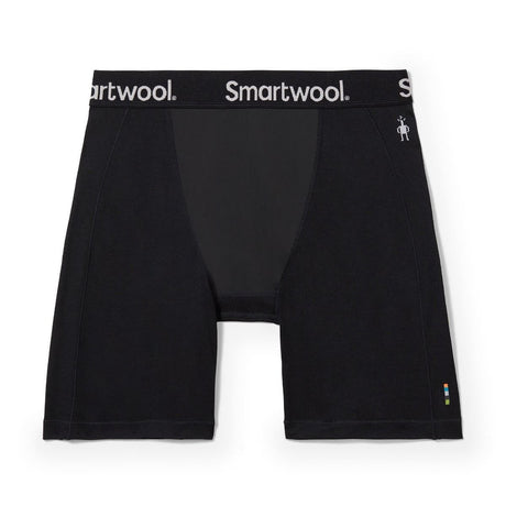Smartwool Merino Sport Wind Boxer Brief Men's