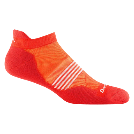 Darn Tough Element Cushioned Lightweight Running No-Show Tab Sock Men's 1116