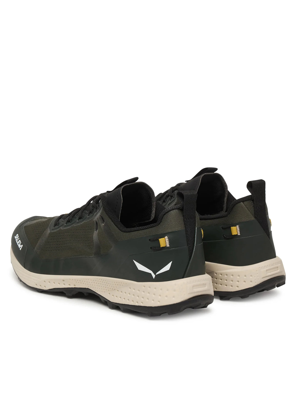 Salewa Pedroc Light Shoe Women's