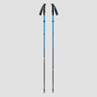 Black Diamond Distance Carbon FLZ Trekking Poles