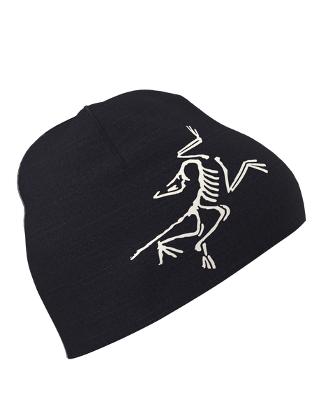 Arc'teryx Satoro Toque