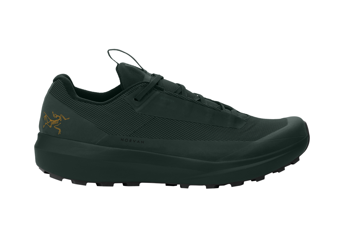 Arc'teryx Norvan LD 4 GTX Shoe Women's