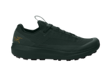 Arc'teryx Norvan LD 4 GTX Shoe Women's