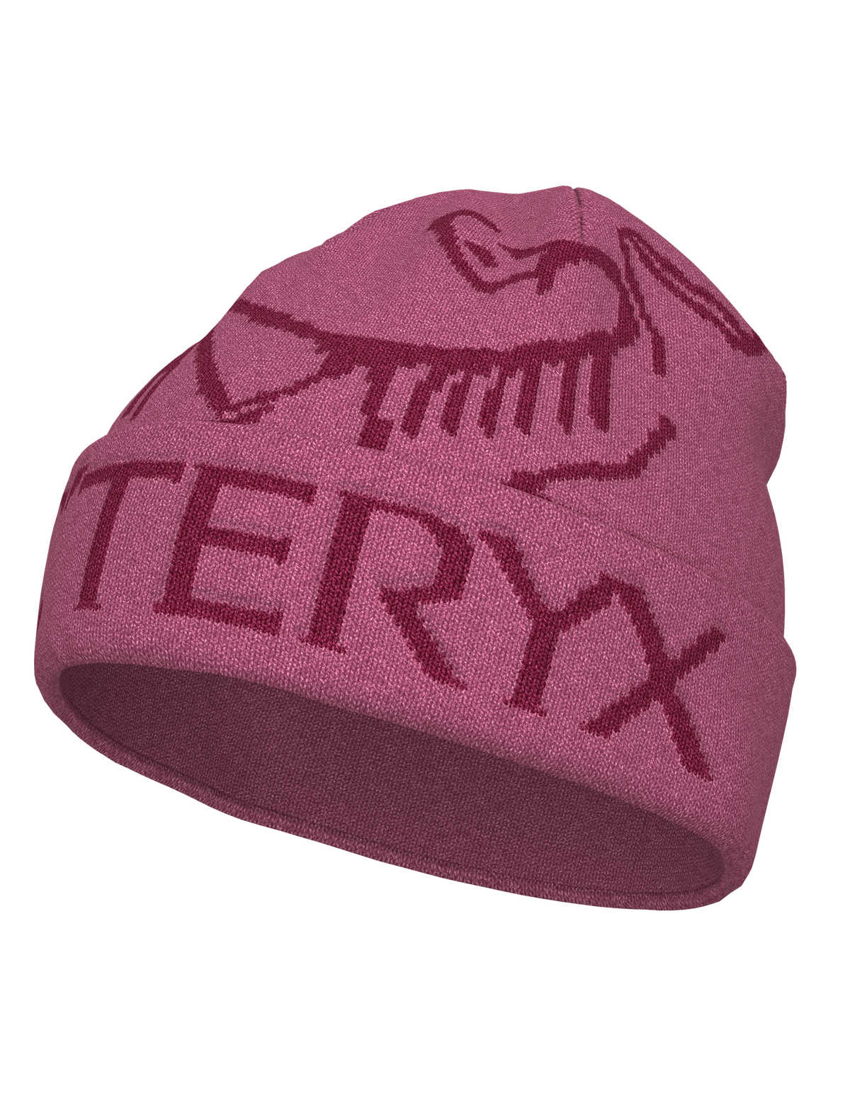 Arc'teryx Bird Word Toque