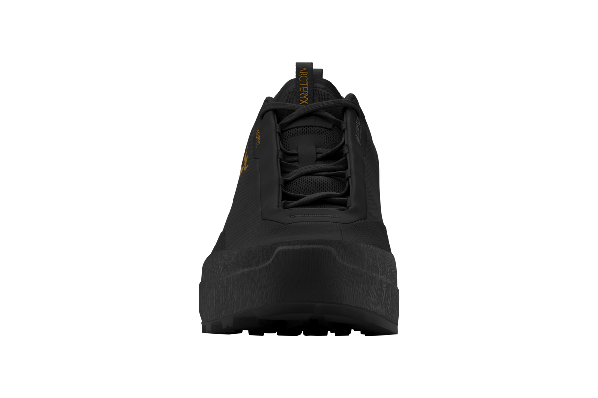 Arc'teryx Kopec 2 Low GTX Shoe Women's