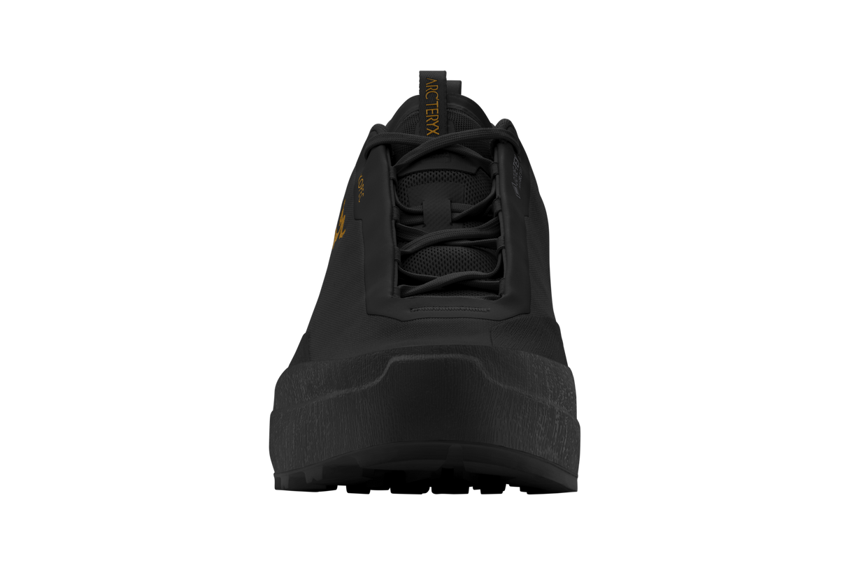 Arc'teryx Kopec 2 Low GTX Shoe Men's