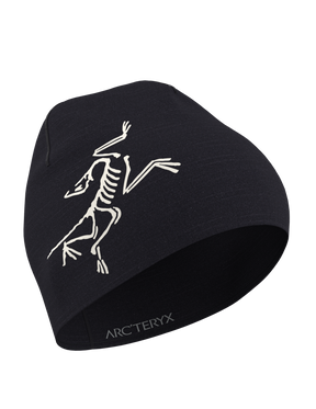 Arc'teryx Satoro Toque