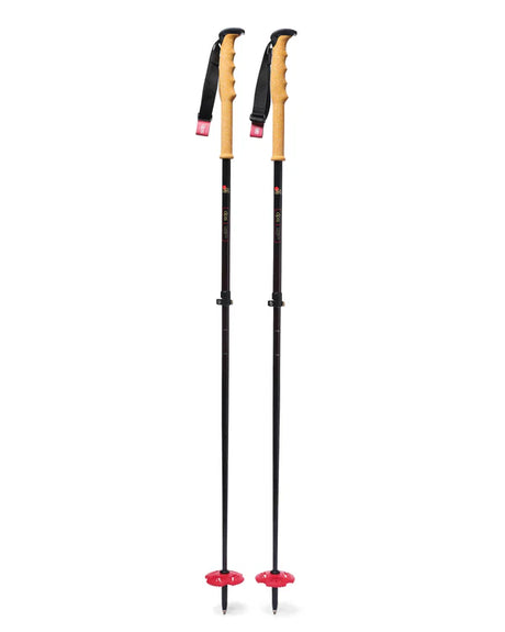 DPS Carbon UL Adjustable Ski Pole