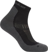 Icebreaker Merino Hike+ Light Mini Sock Men's