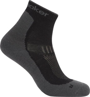Icebreaker Merino Hike+ Light Mini Sock Men's