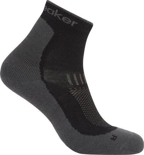 Icebreaker Merino Hike+ Light Mini Sock Men's