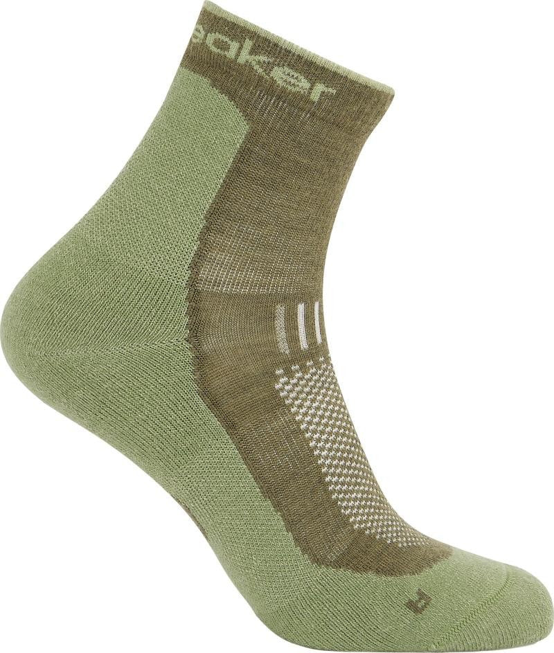 Icebreaker Merino Hike+ Light Mini Sock Men's