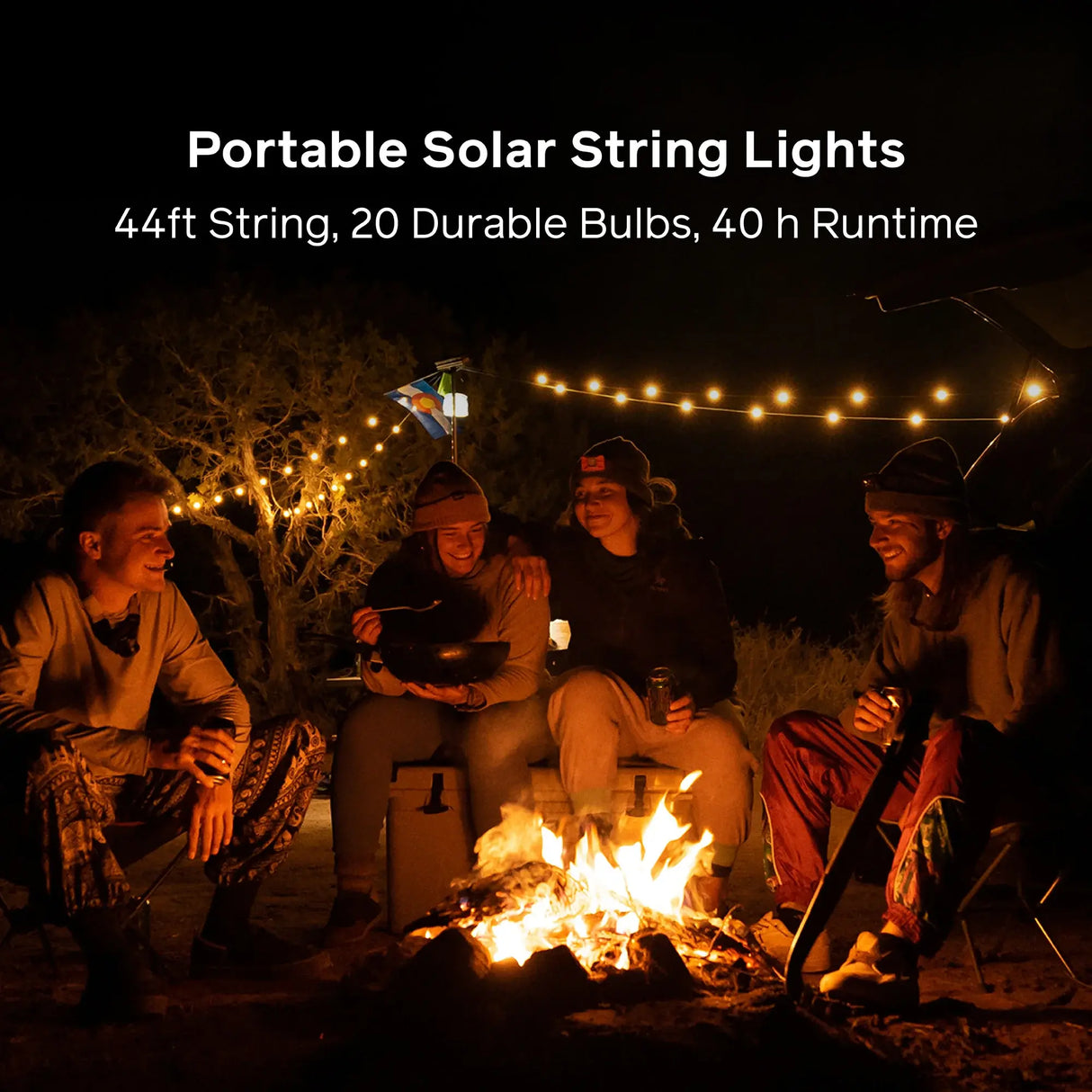 Biolite Solar String Lights 44'