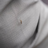 Royal Robbins Expedition III Long Sleeve Shirt Men's